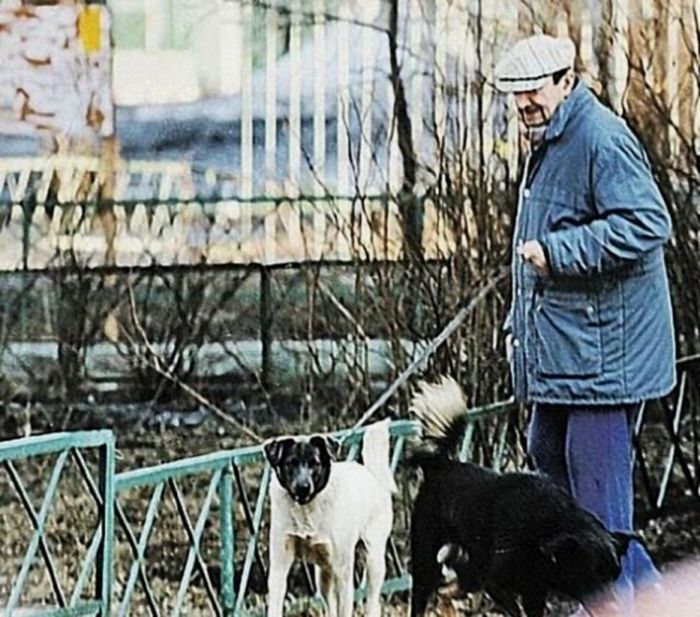 Георгий Вицин: скромная жизнь талантливого актера Георгий Вицин: скромная жизнь талантливого актера