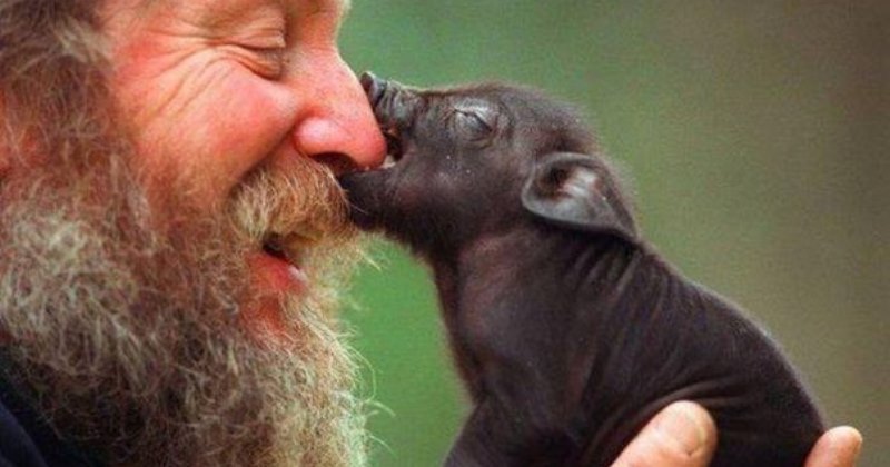 Любопытные факты о веганах Любопытные факты о веганах