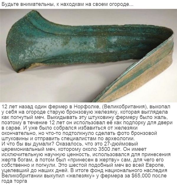 Прикольные картинки (83 фото)