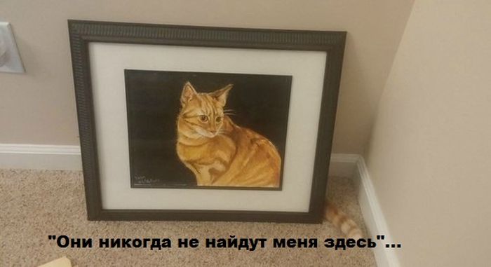 Прикольные картинки (83 фото)