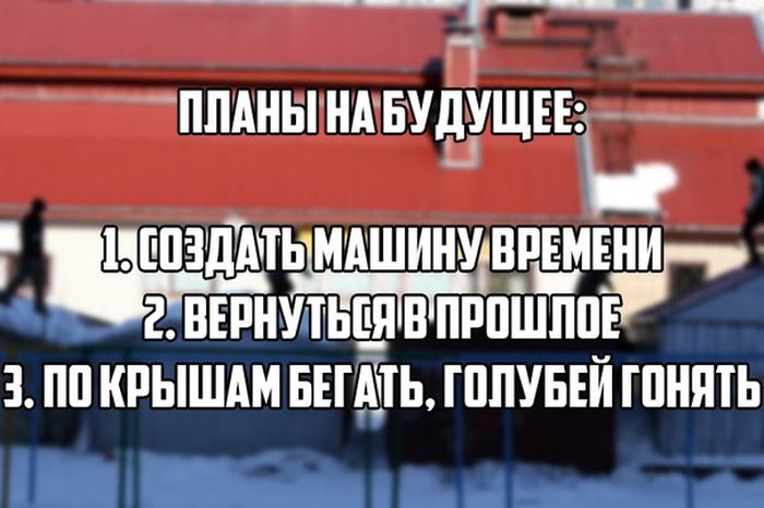 Прикольные картинки (83 фото)