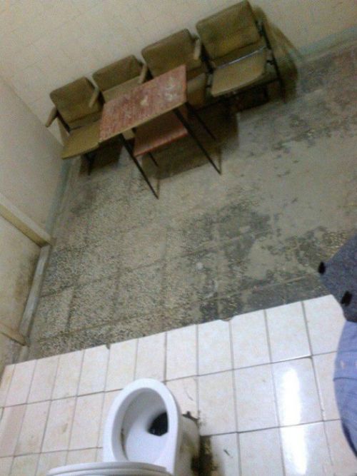 Прикольные картинки (83 фото)