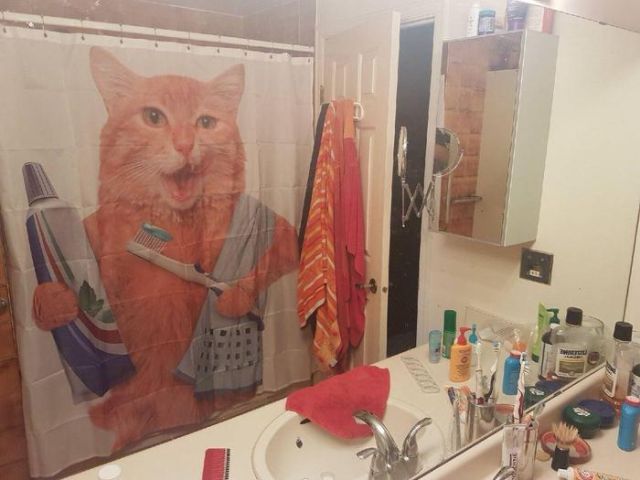 Прикольные картинки