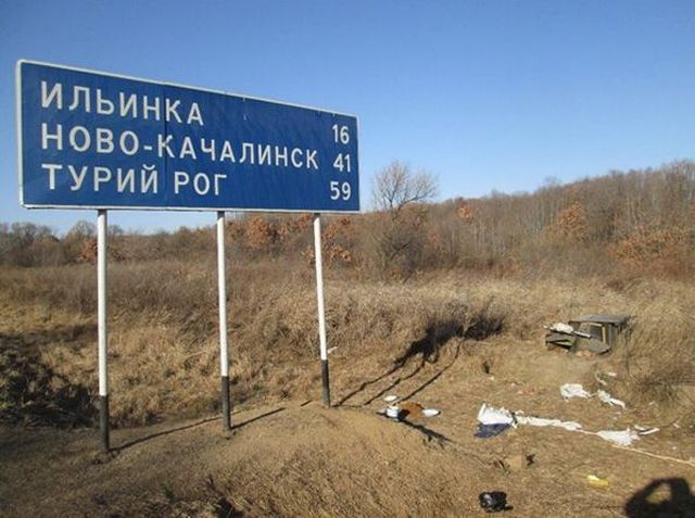 В Приморье собака третий год ждет своего хозяина на трассе