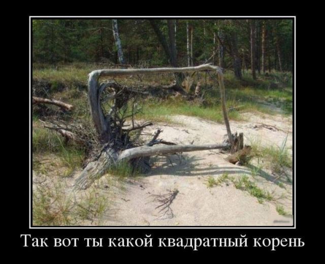 Демотиваторы
