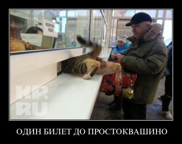 Демотиваторы