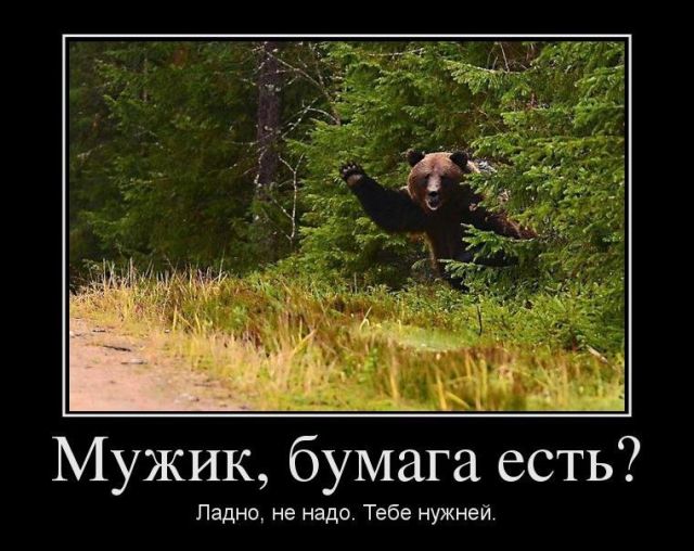 Демотиваторы