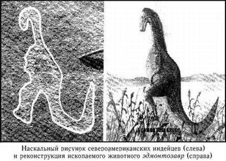 Как проходят раскопки палеонтологов