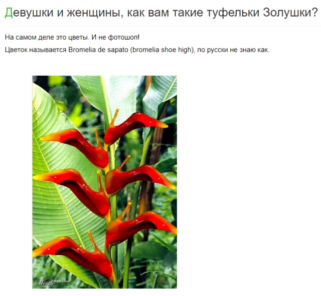 Правда или ложь: факты, которые могут вводить людей в заблуждение