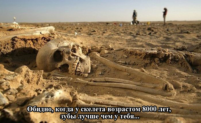 Порция картинок