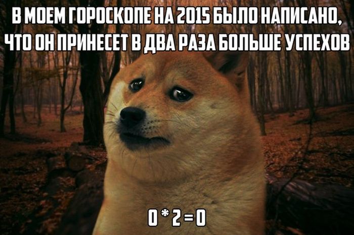 Порция картинок