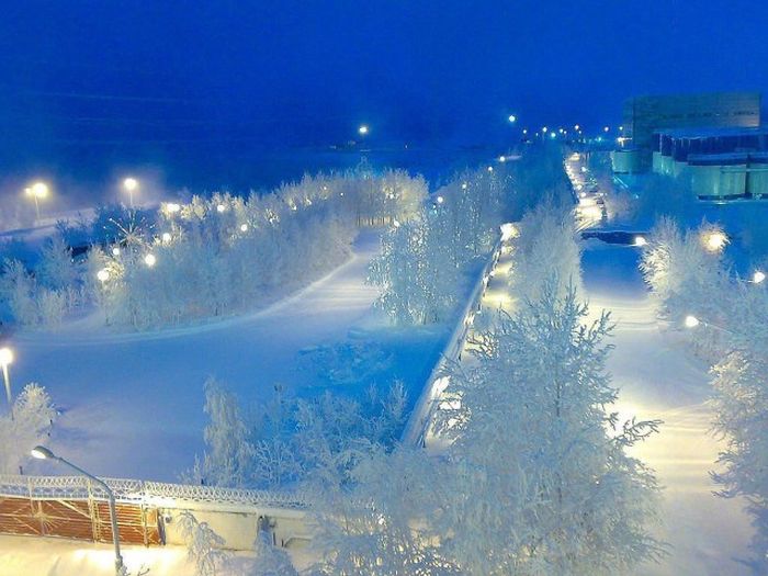 Порция картинок