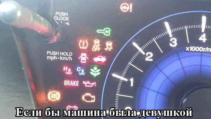 Порция картинок