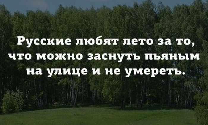 Порция картинок