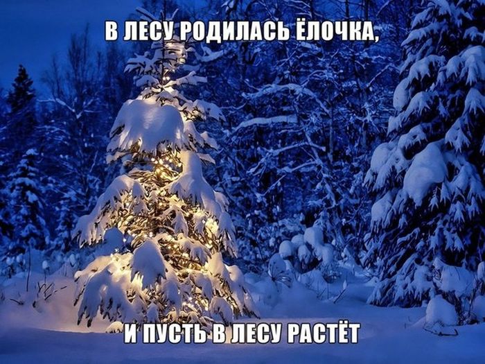 Порция картинок