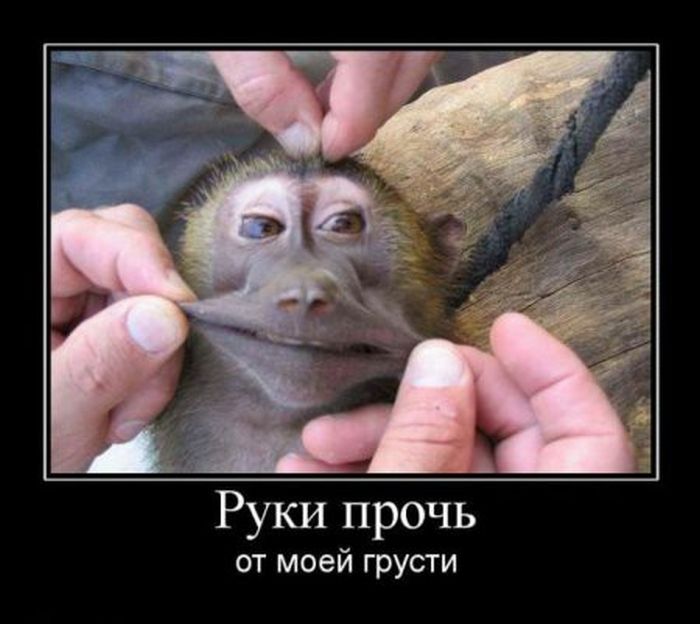Демотиваторы