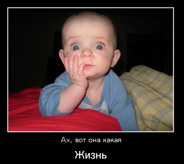 Демотиваторы