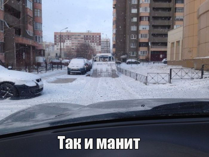 Прикольные картинки