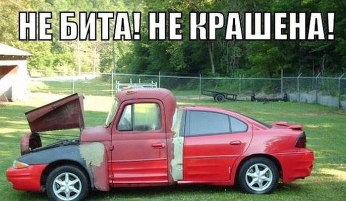 Прикольные картинки