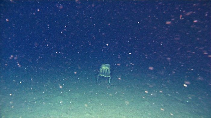 Жуткие морские фото