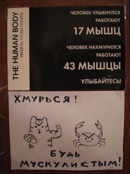Прикольные картинки