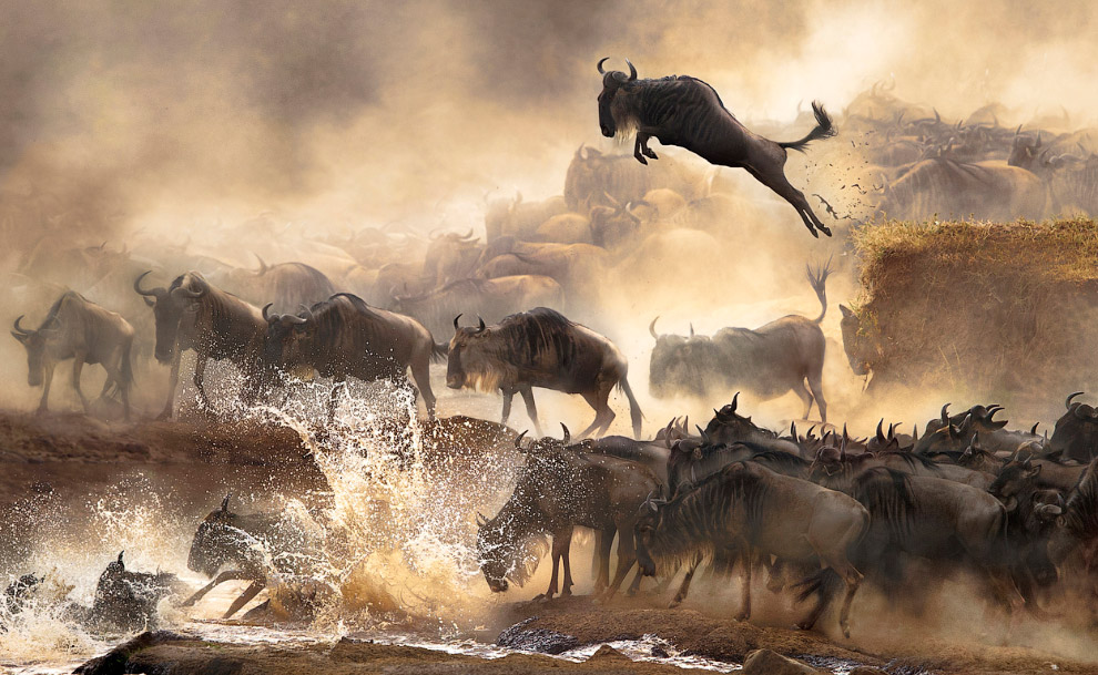 Sony World Photography Awards 2014 Sony World Photography Awards 2014