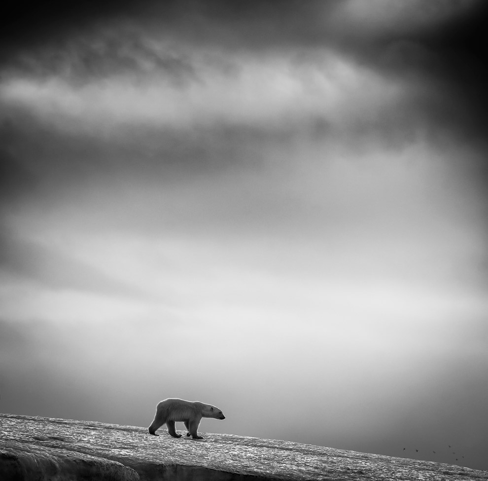 Sony World Photography Awards 2014 Sony World Photography Awards 2014