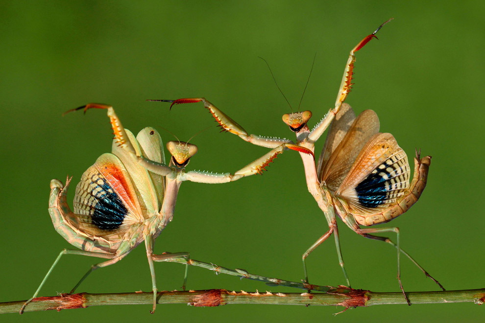 Sony World Photography Awards 2014 Sony World Photography Awards 2014