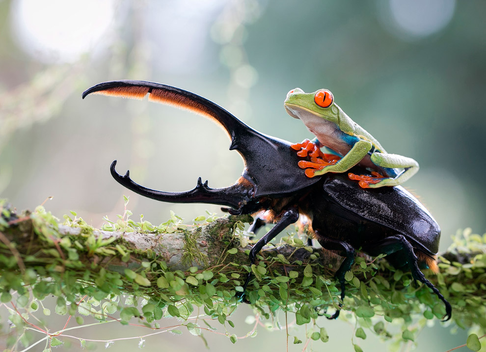Sony World Photography Awards 2014 Sony World Photography Awards 2014