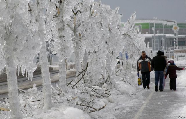Прикольные картинки (67 фото)