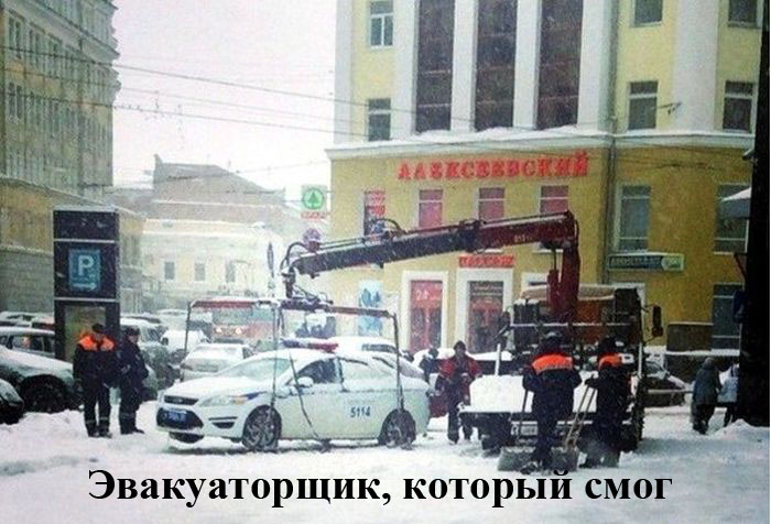 Порция картинок