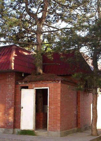 Порция картинок