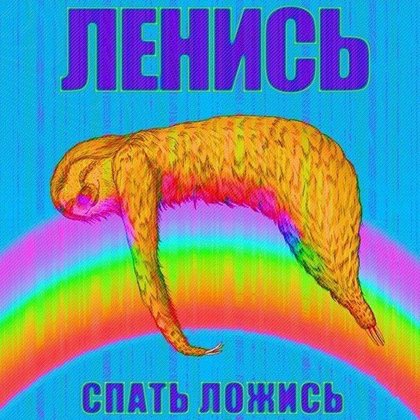 Порция картинок