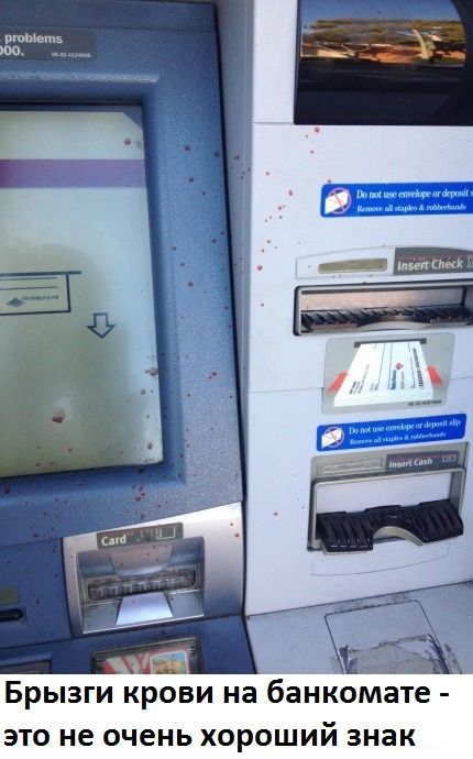 Порция картинок