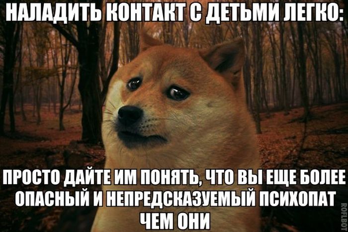 Порция картинок