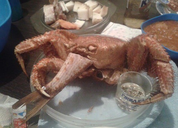 Утомленные икрой: какая она, жизнь на Камчатке?
