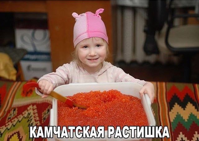 Утомленные икрой: какая она, жизнь на Камчатке?
