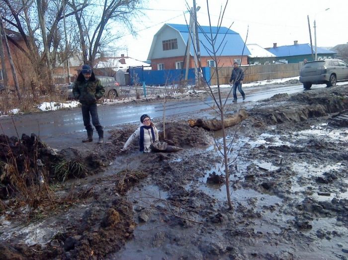 Прикольные картинки