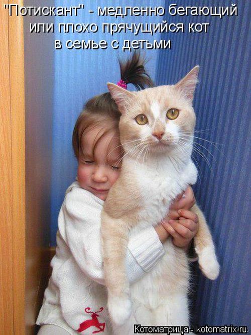 Лучшие котоматрицы недели