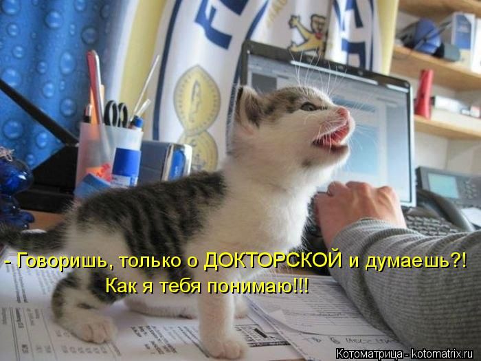 Лучшие котоматрицы недели