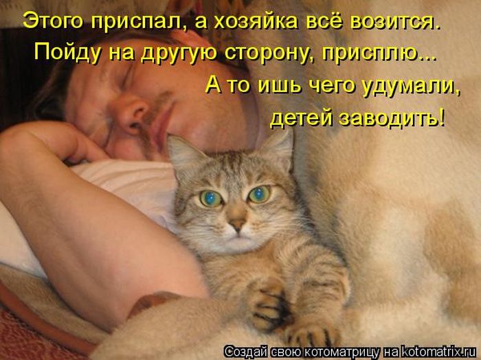 Лучшие котоматрицы недели