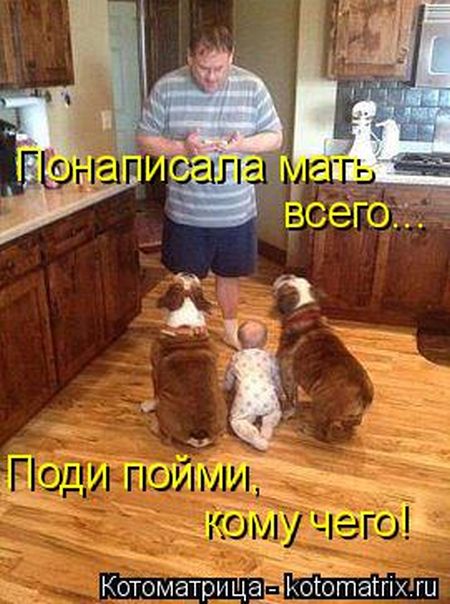 Лучшие котоматрицы недели