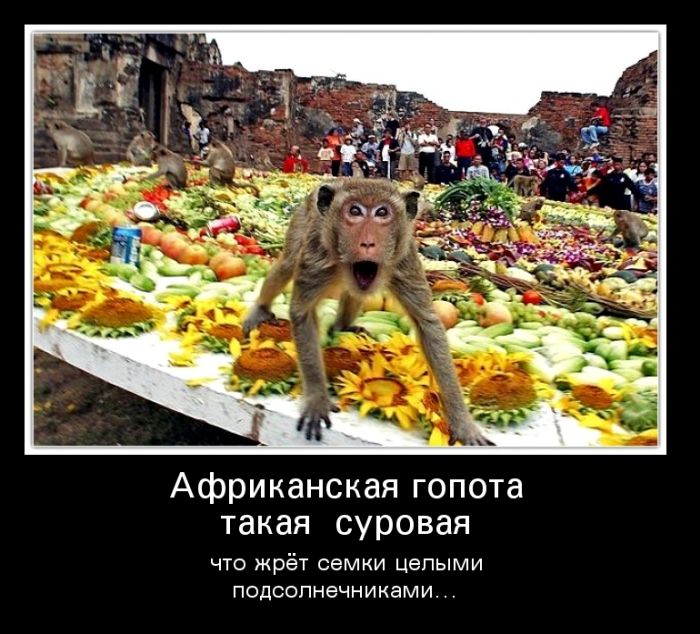 Демотиваторы