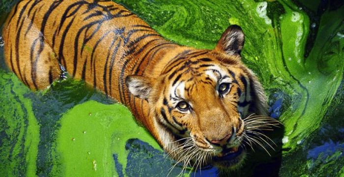 Шесть мест, в которые туристам вход запрещен