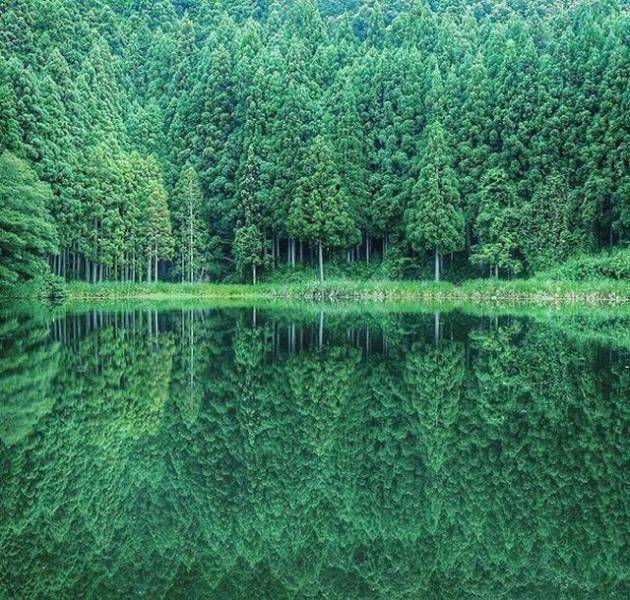 Невероятные изображения Моники Карвальо
