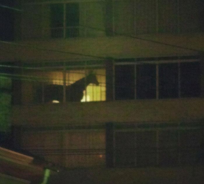 25 смешных фотографий, которые вызывают больше вопросов, чем дают ответов 25 смешных фотографий, которые вызывают больше вопросов, чем дают ответов