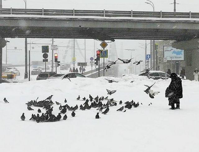 Рекордный снегопад в Центральной России