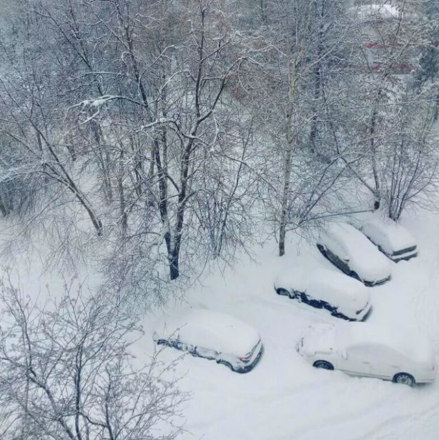Рекордный снегопад в Центральной России