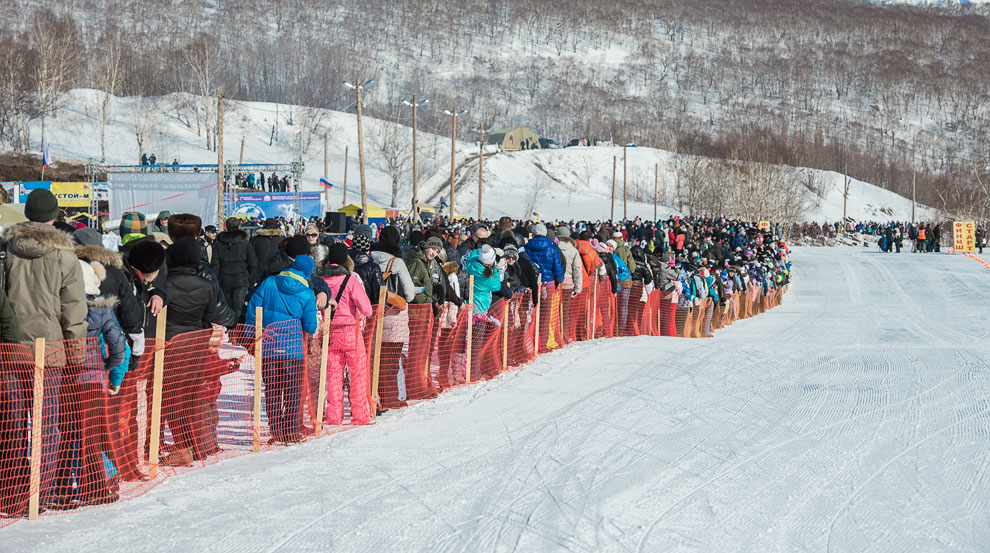 Гонка на собачьих упряжках на Камчатке