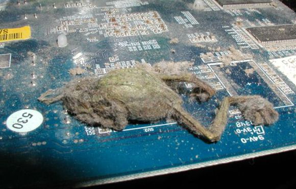 Ужасы внутри системных блоков